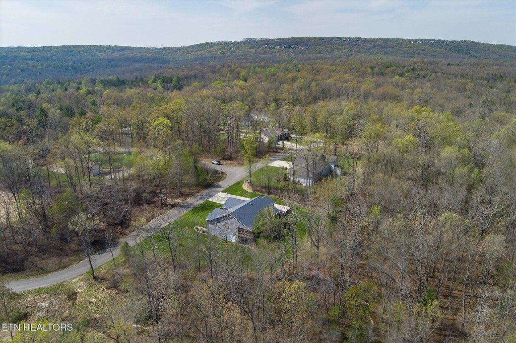 Crab Orchard, Tennessee, 37723, United States, 3 Bedrooms Bedrooms, ,2 BathroomsBathrooms,Residential,Forsale,1907852