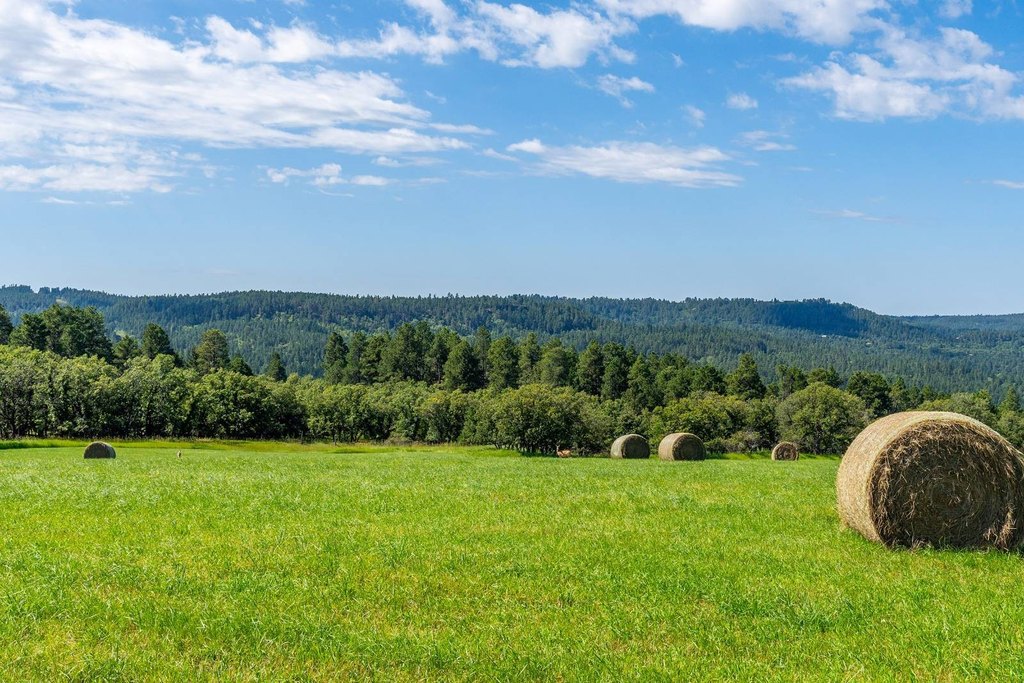 Hulett, Wyoming, 82720, United States, 3 Bedrooms Bedrooms, ,2 BathroomsBathrooms,Residential,Forsale,2004328