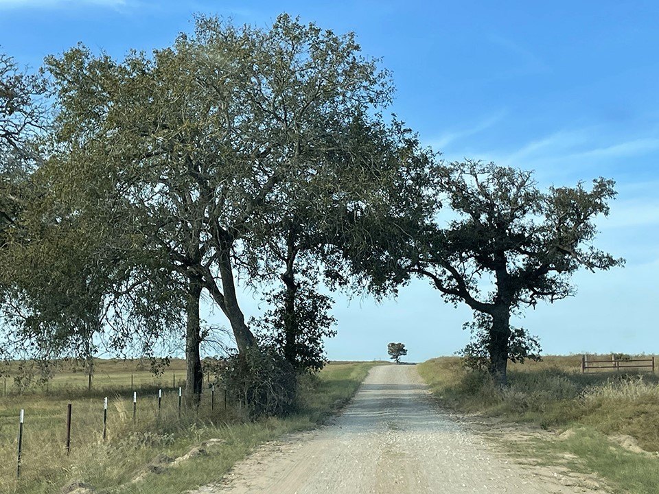 Seguin, Texas, 78155, United States, 3 Bedrooms Bedrooms, ,2 BathroomsBathrooms,Residential,Forsale,1889123