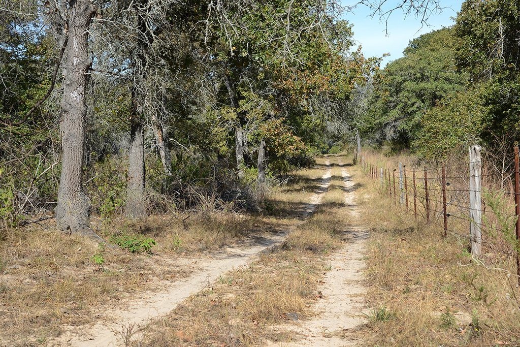 Seguin, Texas, 78155, United States, 3 Bedrooms Bedrooms, ,2 BathroomsBathrooms,Residential,Forsale,1889123