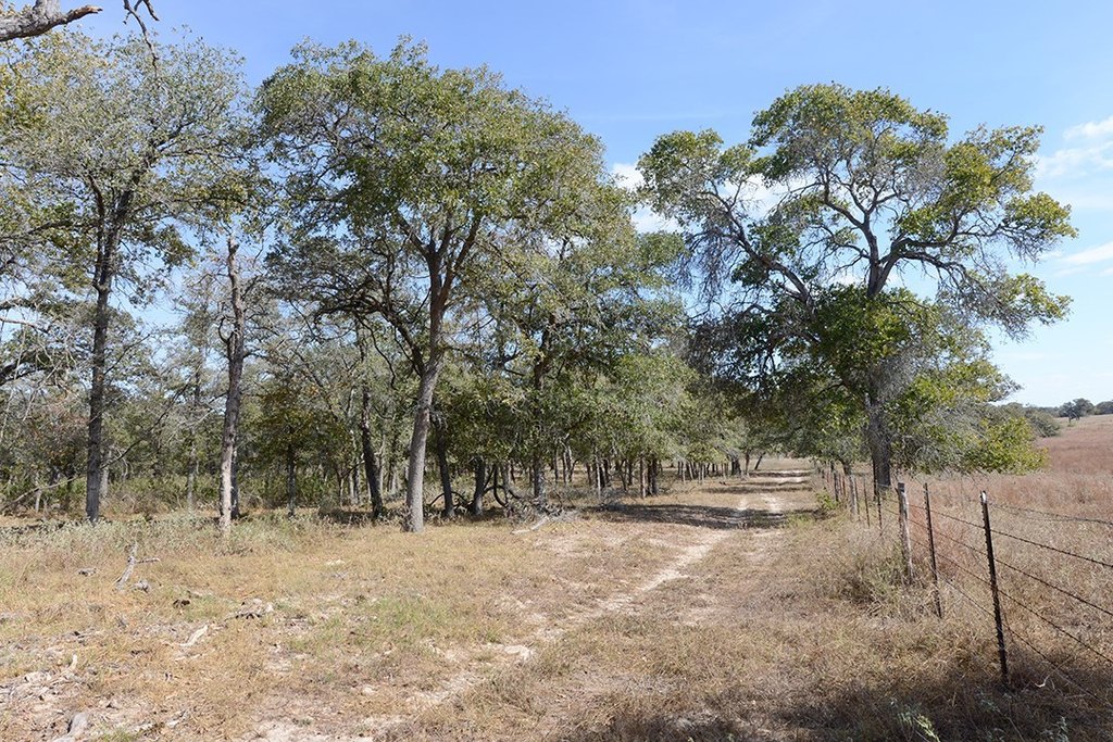 Seguin, Texas, 78155, United States, 3 Bedrooms Bedrooms, ,2 BathroomsBathrooms,Residential,Forsale,1889123