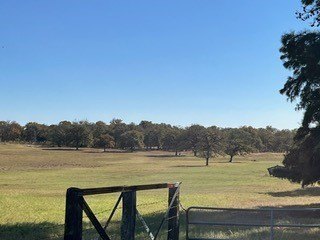 Seguin, Texas, 78155, United States, 3 Bedrooms Bedrooms, ,2 BathroomsBathrooms,Residential,Forsale,1889123