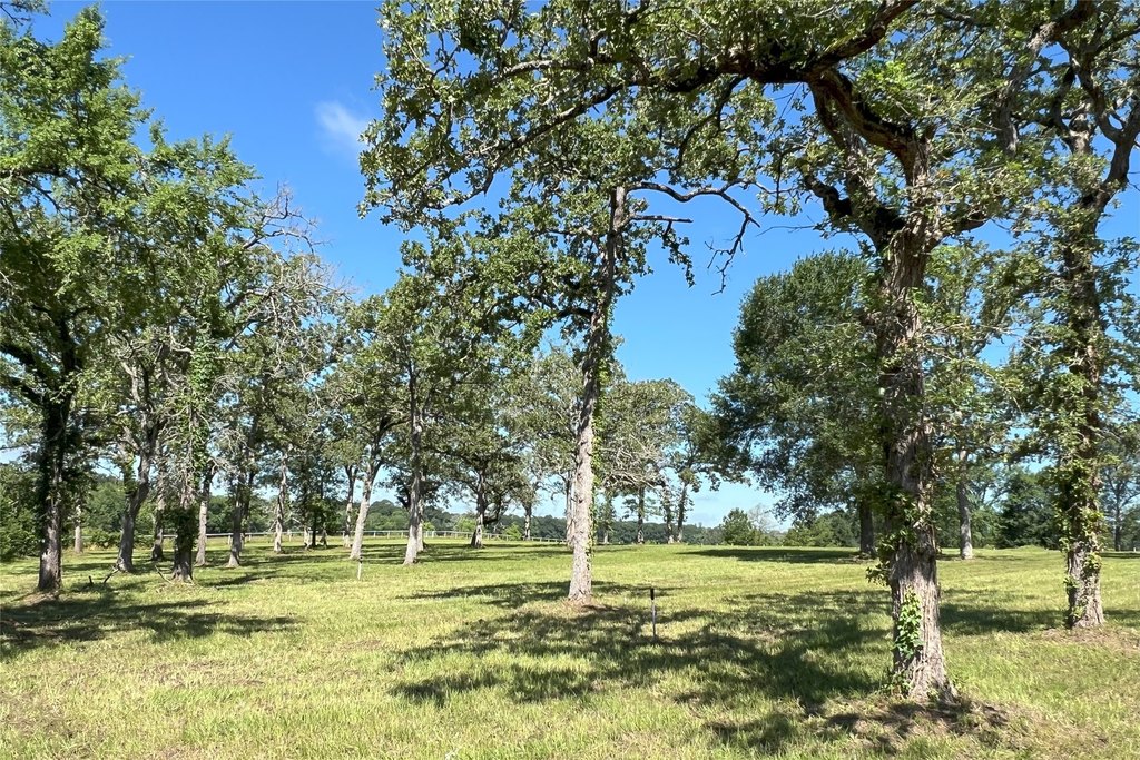 Montgomery, Texas, 77356, United States, 11 Bedrooms Bedrooms, ,8.5 BathroomsBathrooms,Residential,Forsale,1953054