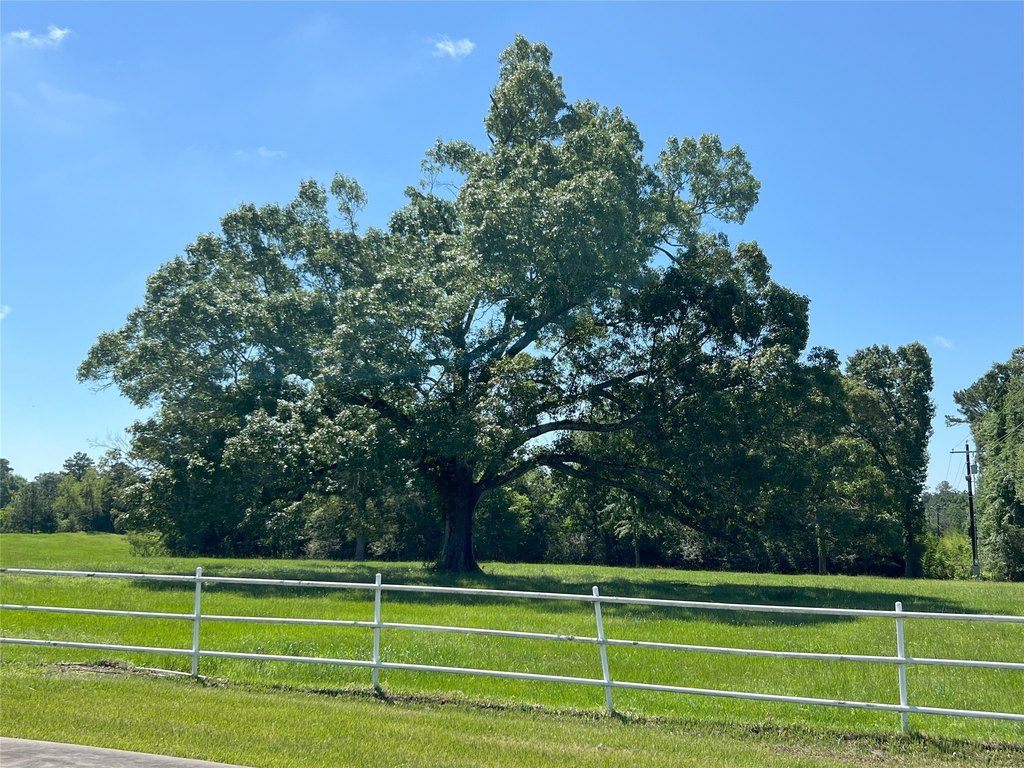 Montgomery, Texas, 77356, United States, 11 Bedrooms Bedrooms, ,8.5 BathroomsBathrooms,Residential,Forsale,1953054