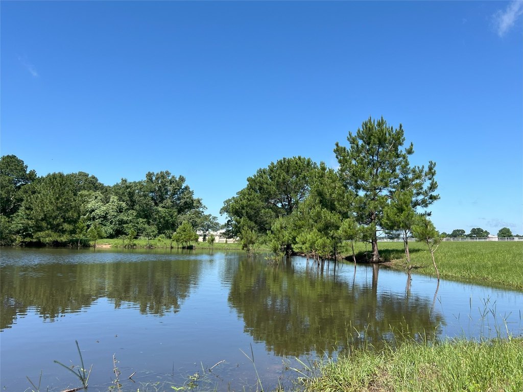 Montgomery, Texas, 77356, United States, 11 Bedrooms Bedrooms, ,8.5 BathroomsBathrooms,Residential,Forsale,1953054