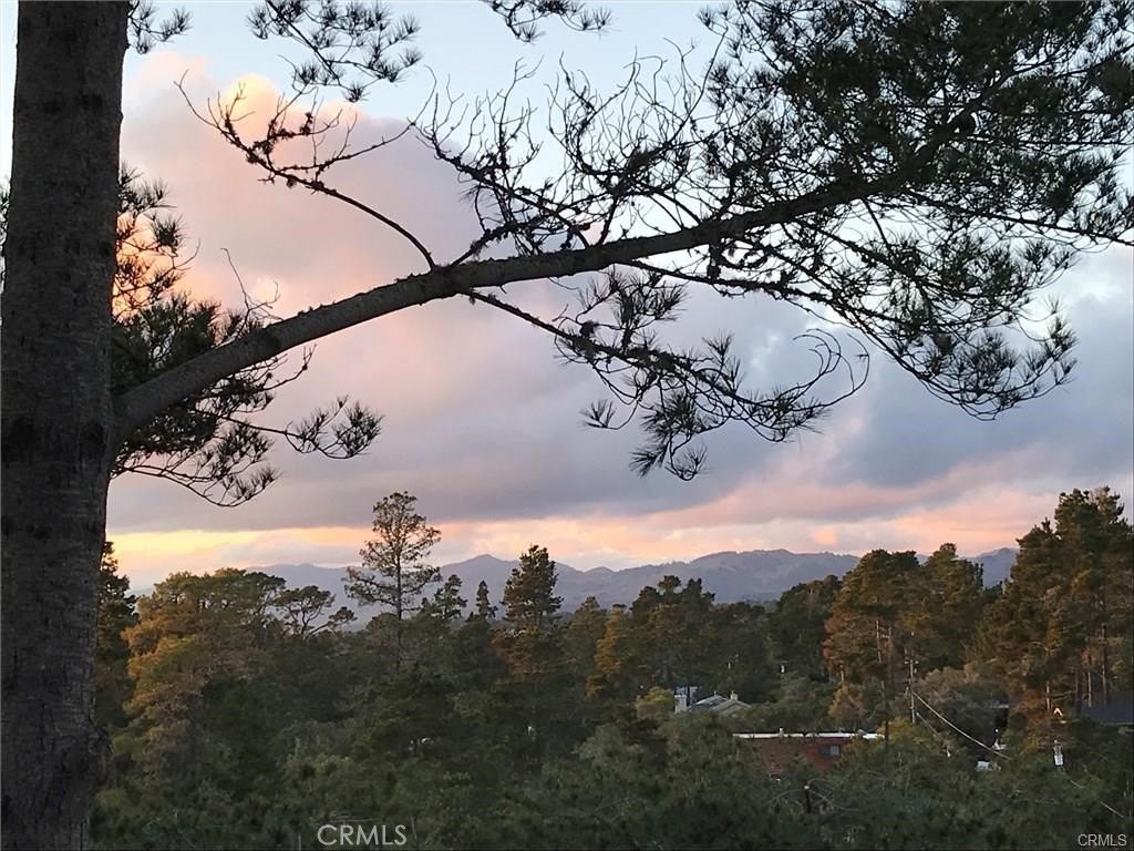 Cambria, California, 93428, United States, 3 Bedrooms Bedrooms, ,2.5 BathroomsBathrooms,Residential,Forsale,1884363