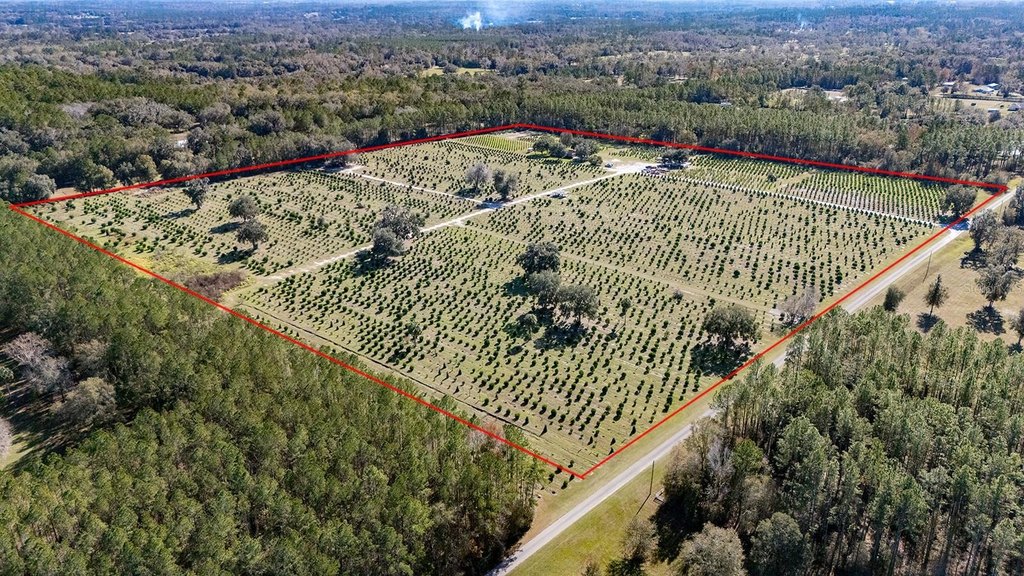 REDDICK, Florida, 32686, United States, ,Commercial,Forsale,1905410