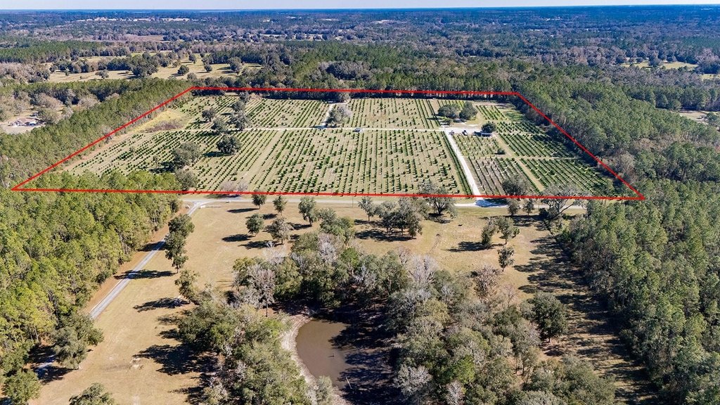 REDDICK, Florida, 32686, United States, ,Commercial,Forsale,1905410