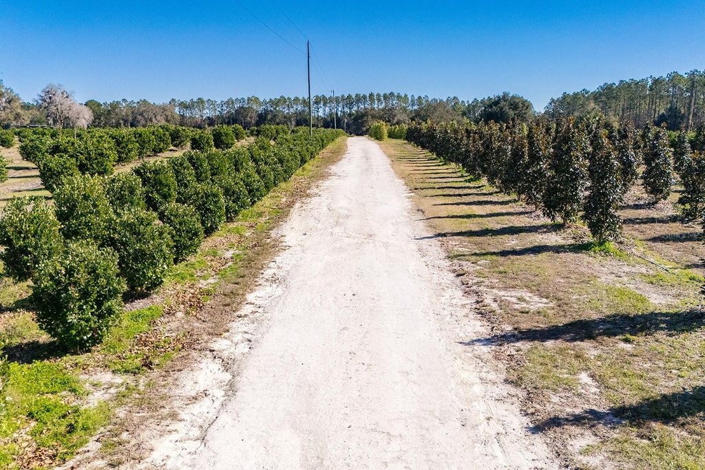 REDDICK, Florida, 32686, United States, ,Commercial,Forsale,1905410