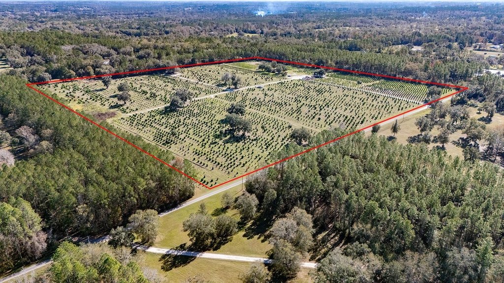 REDDICK, Florida, 32686, United States, ,Commercial,Forsale,1905410