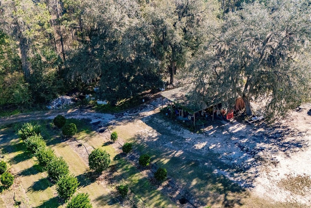 REDDICK, Florida, 32686, United States, ,Commercial,Forsale,1905410