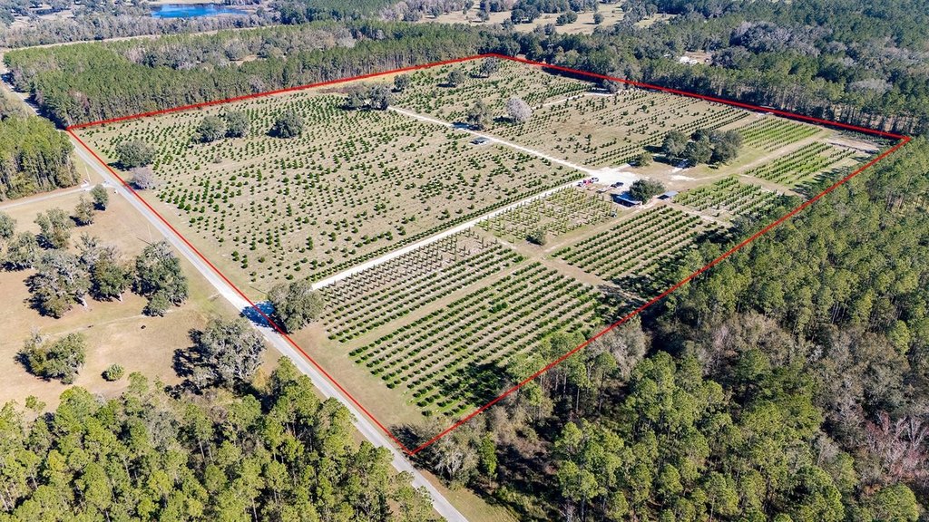 REDDICK, Florida, 32686, United States, ,Commercial,Forsale,1905410