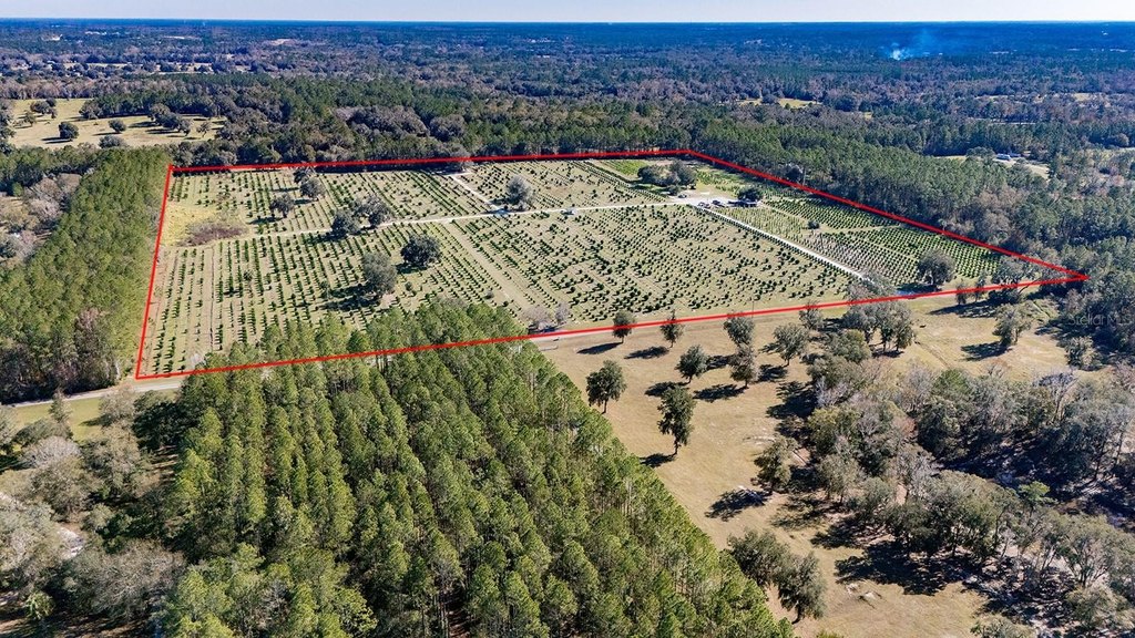 REDDICK, Florida, 32686, United States, ,Commercial,Forsale,1905410