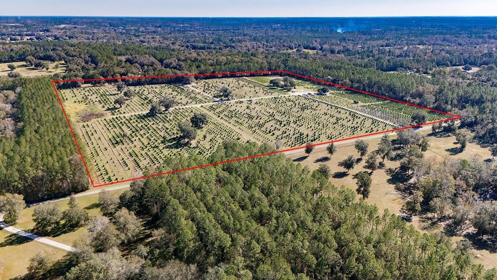 REDDICK, Florida, 32686, United States, ,Commercial,Forsale,1905410