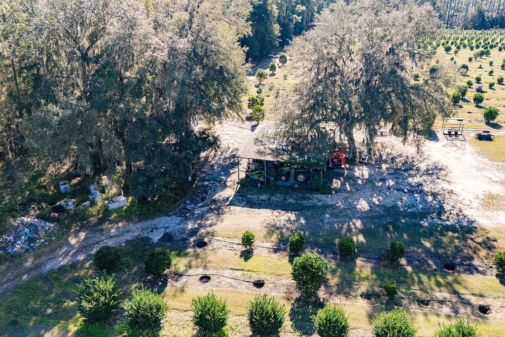 REDDICK, Florida, 32686, United States, ,Commercial,Forsale,1905410