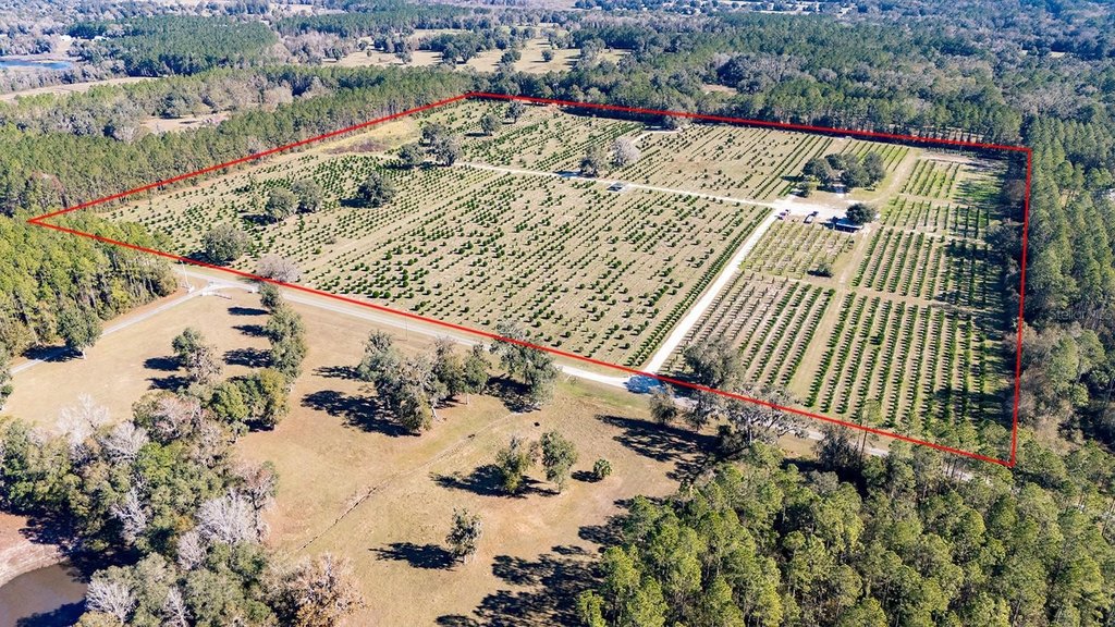 REDDICK, Florida, 32686, United States, ,Commercial,Forsale,1905410