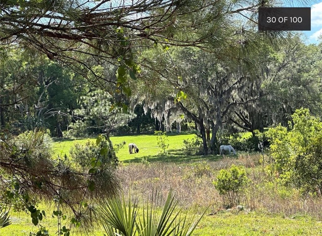 HAWTHORNE, Florida, 32640, United States, 4 Bedrooms Bedrooms, ,4 BathroomsBathrooms,Residential,Forsale,1903064