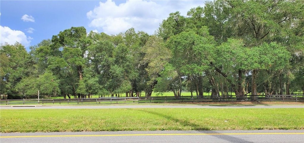 OCALA, Florida, 34480, United States, ,Land,Forsale,2010931