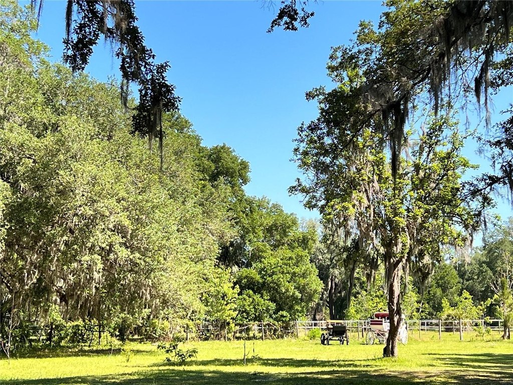 HAWTHORNE, Florida, 32640, United States, 4 Bedrooms Bedrooms, ,4 BathroomsBathrooms,Residential,Forsale,1903064