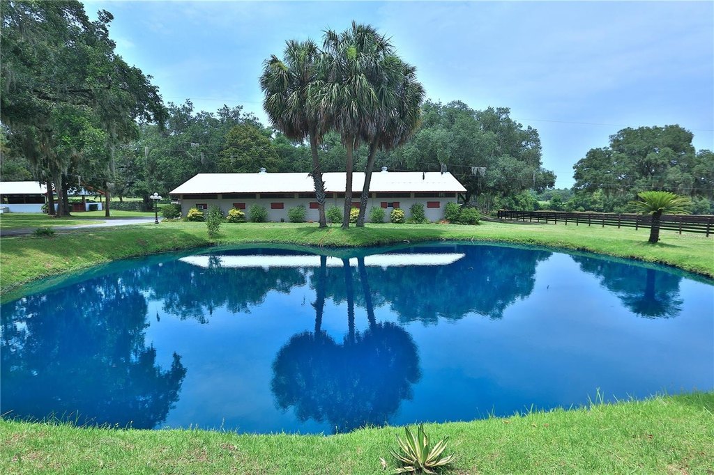 REDDICK, Florida, 32686, United States, 3 Bedrooms Bedrooms, ,2 BathroomsBathrooms,Residential,Forsale,1905399