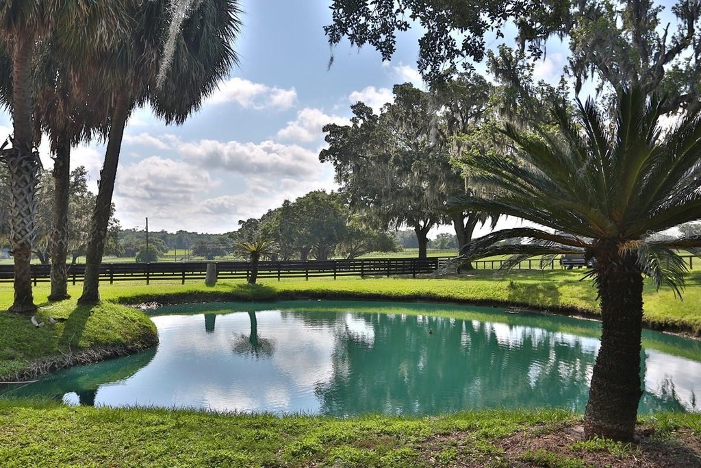 REDDICK, Florida, 32686, United States, 3 Bedrooms Bedrooms, ,2 BathroomsBathrooms,Residential,Forsale,1905399