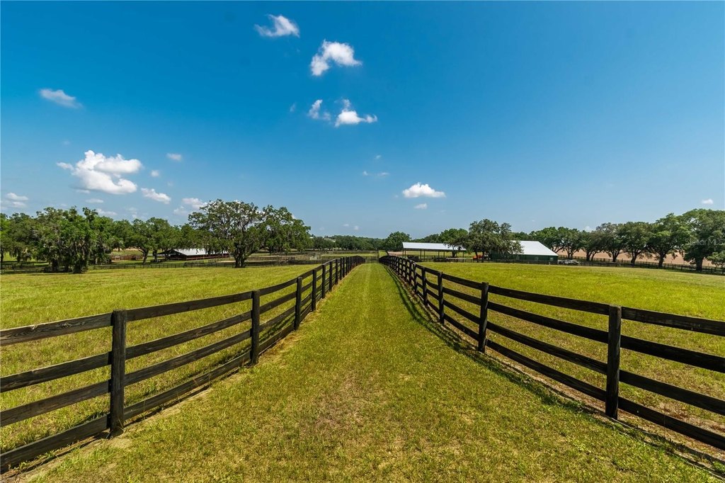 MORRISTON, Florida, 32668, United States, 1 Bedroom Bedrooms, ,1 BathroomBathrooms,Residential,Forsale,2003962