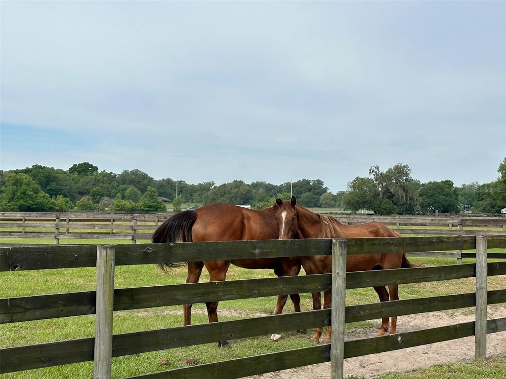 OCALA, Florida, 34482, United States, 4 Bedrooms Bedrooms, ,2.5 BathroomsBathrooms,Residential,Forsale,1884191