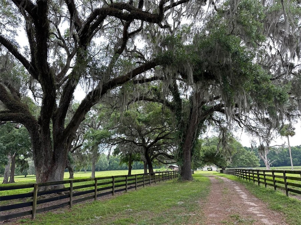 OCALA, Florida, 34482, United States, 4 Bedrooms Bedrooms, ,2.5 BathroomsBathrooms,Residential,Forsale,1884191