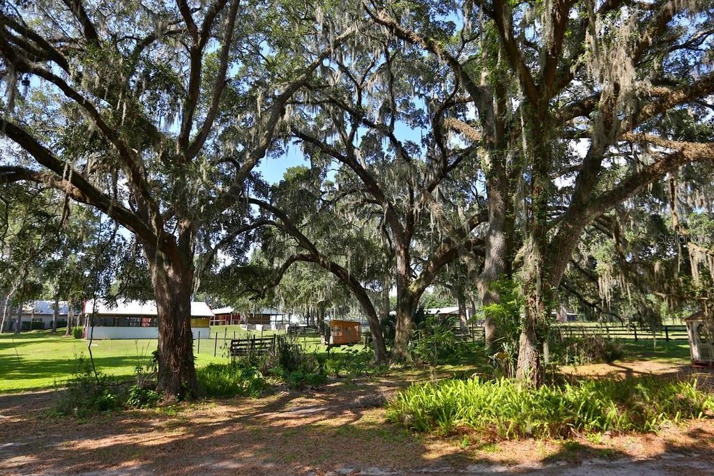 REDDICK, Florida, 32686, United States, 3 Bedrooms Bedrooms, ,2 BathroomsBathrooms,Residential,Forsale,1905399