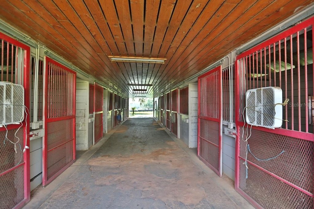 REDDICK, Florida, 32686, United States, 3 Bedrooms Bedrooms, ,2 BathroomsBathrooms,Residential,Forsale,1905399