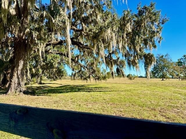 OCALA, Florida, 34482, United States, ,Land,Forsale,1967357