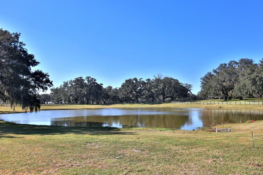 REDDICK, Florida, 32686, United States, 3 Bedrooms Bedrooms, ,2 BathroomsBathrooms,Residential,Forsale,1944501