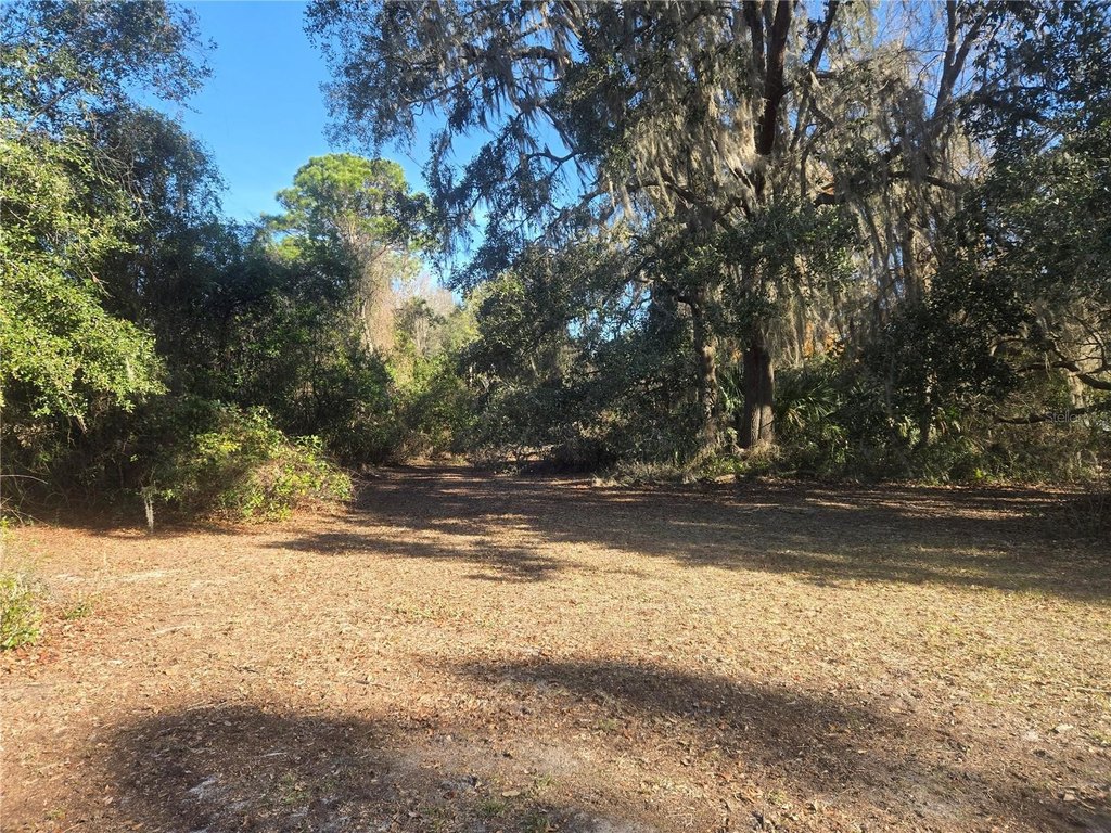 SILVER SPRINGS, Florida, 34488, United States, 2 Bedrooms Bedrooms, ,1 BathroomBathrooms,Residential,Forsale,1884201