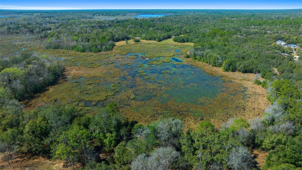SILVER SPRINGS, Florida, 34488, United States, 2 Bedrooms Bedrooms, ,1 BathroomBathrooms,Residential,Forsale,1884201