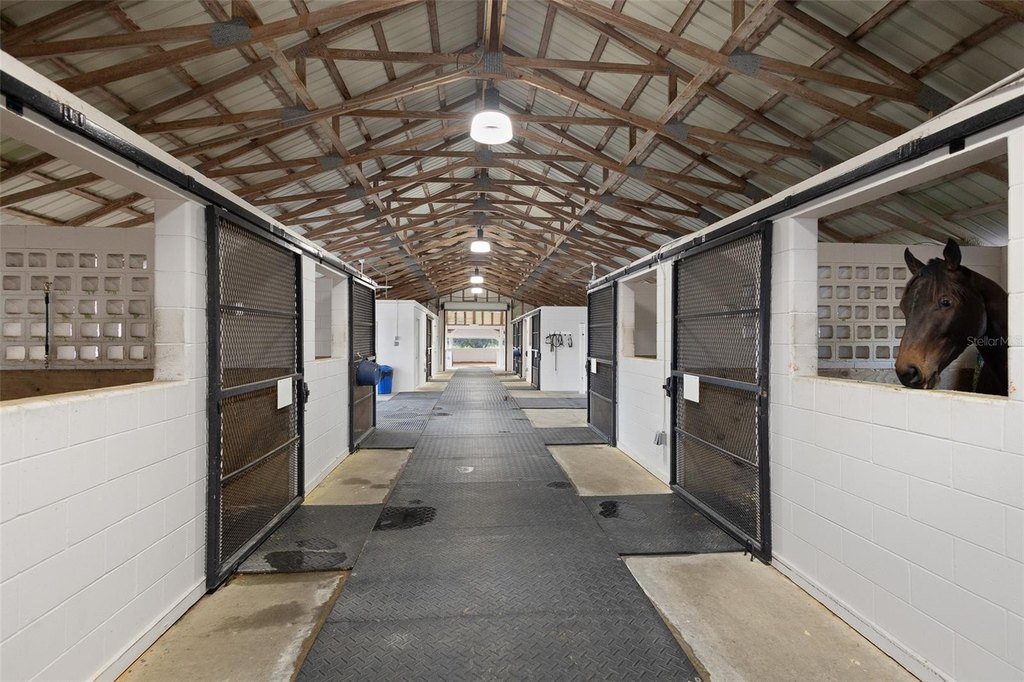 SUMMERFIELD, Florida, 34491, United States, 3 Bedrooms Bedrooms, ,2 BathroomsBathrooms,Residential,Forsale,2004001