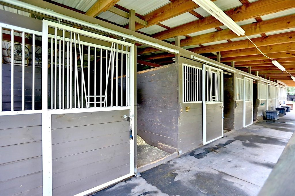 WILLISTON, Florida, 32696, United States, ,Commercial,Forsale,1959766
