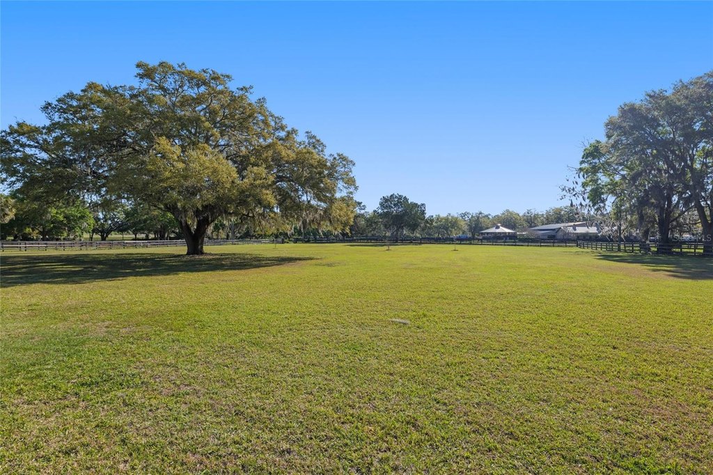 OCALA, Florida, 34482, United States, 3 Bedrooms Bedrooms, ,2 BathroomsBathrooms,Residential,Forsale,1905405