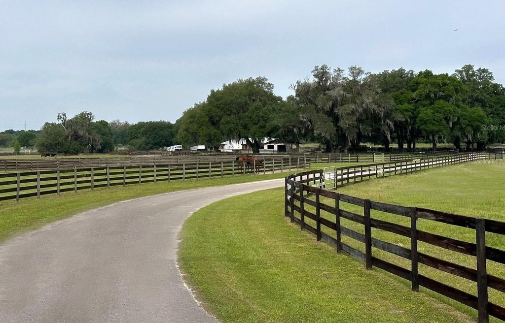 OCALA, Florida, 34482, United States, 4 Bedrooms Bedrooms, ,2.5 BathroomsBathrooms,Residential,Forsale,1884191
