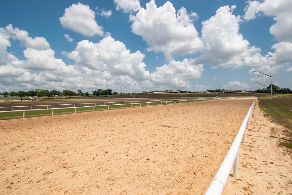 MORRISTON, Florida, 32668, United States, 1 Bedroom Bedrooms, ,1 BathroomBathrooms,Residential,Forsale,2003962