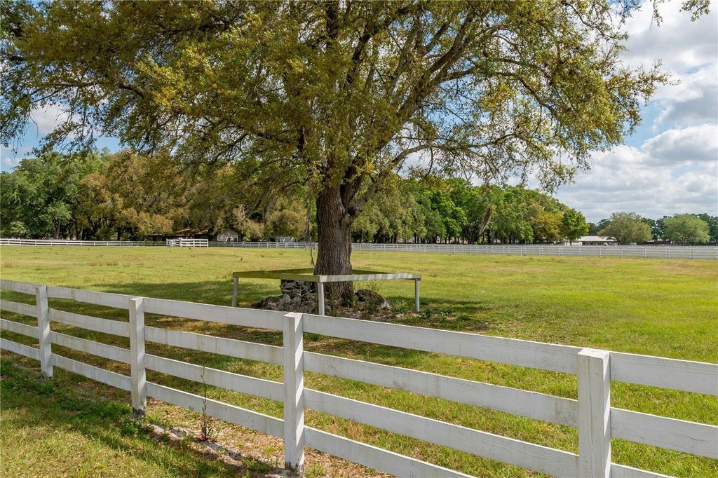 MORRISTON, Florida, 32668, United States, 5 Bedrooms Bedrooms, ,5 BathroomsBathrooms,Residential,Forsale,1903069