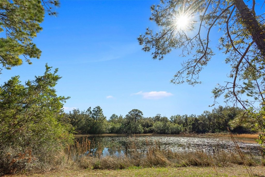 SILVER SPRINGS, Florida, 34488, United States, 2 Bedrooms Bedrooms, ,1 BathroomBathrooms,Residential,Forsale,1884201