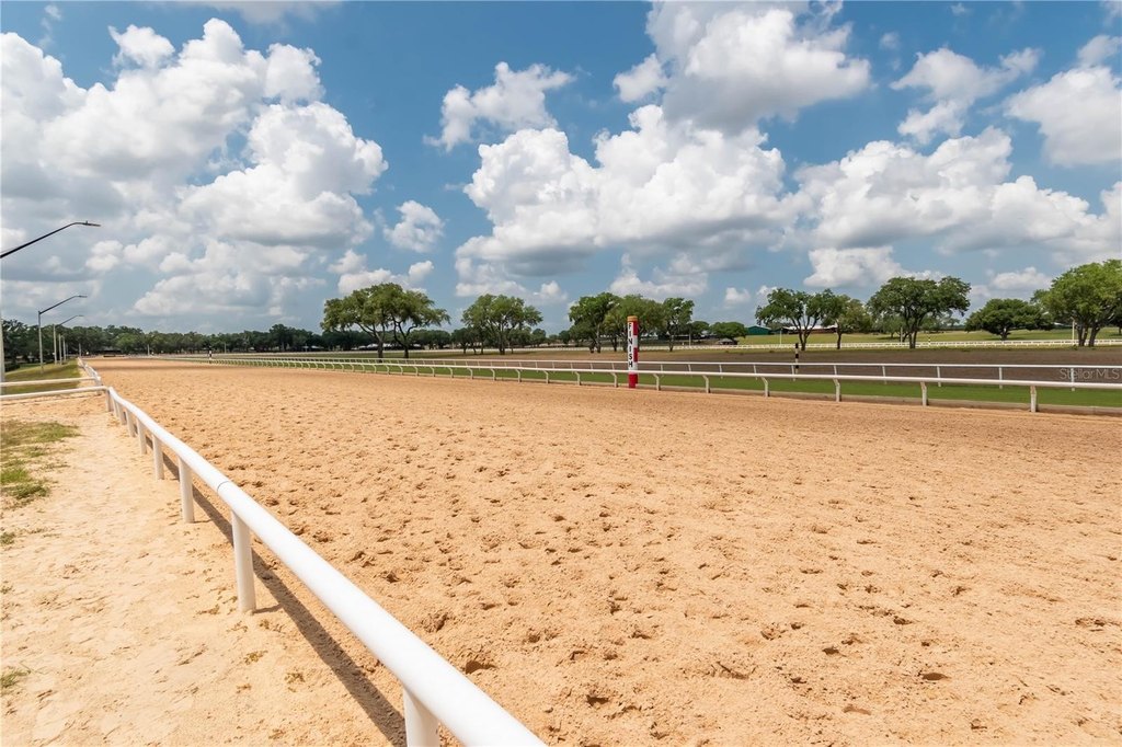 MORRISTON, Florida, 32668, United States, 1 Bedroom Bedrooms, ,1 BathroomBathrooms,Residential,Forsale,2003962