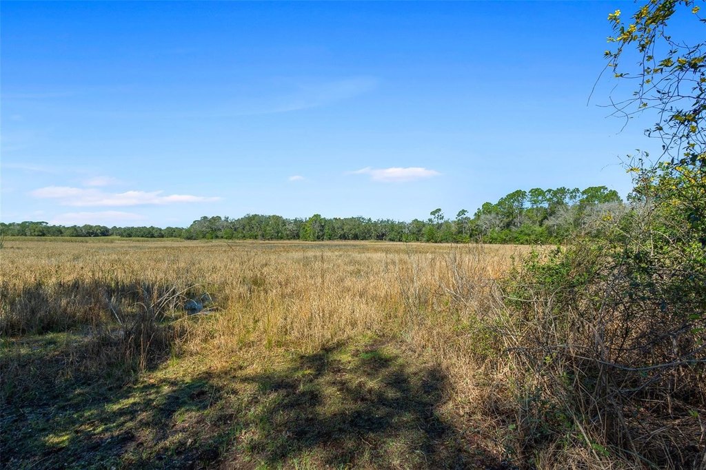 SILVER SPRINGS, Florida, 34488, United States, 2 Bedrooms Bedrooms, ,1 BathroomBathrooms,Residential,Forsale,1884201