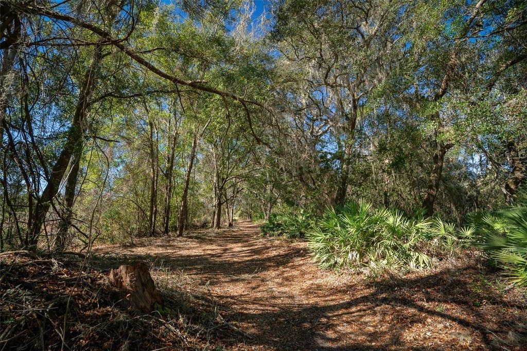 SILVER SPRINGS, Florida, 34488, United States, 2 Bedrooms Bedrooms, ,1 BathroomBathrooms,Residential,Forsale,1884201