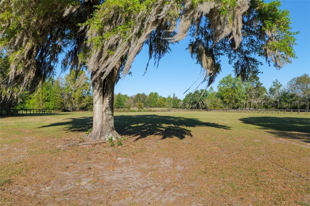 OCALA, Florida, 34482, United States, 3 Bedrooms Bedrooms, ,2 BathroomsBathrooms,Residential,Forsale,1905405
