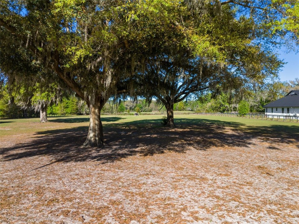 OCALA, Florida, 34482, United States, 3 Bedrooms Bedrooms, ,2 BathroomsBathrooms,Residential,Forsale,1905405