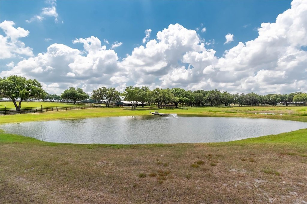 MORRISTON, Florida, 32668, United States, 1 Bedroom Bedrooms, ,1 BathroomBathrooms,Residential,Forsale,2003962