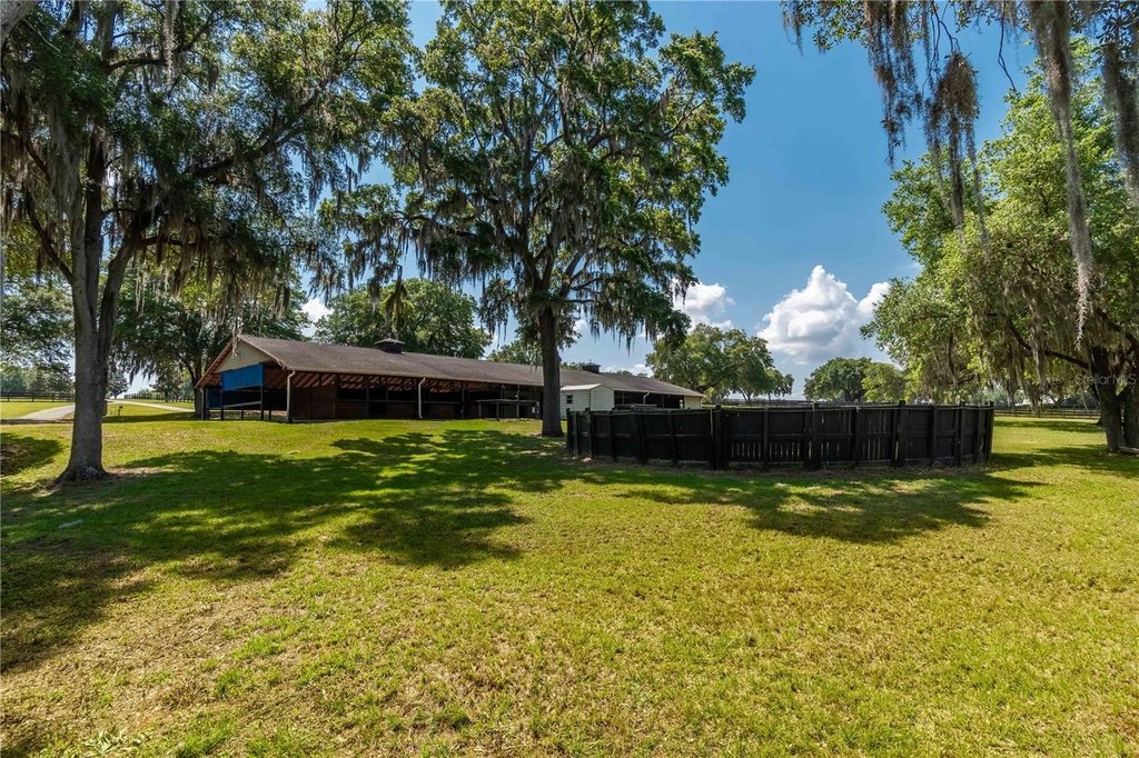 MORRISTON, Florida, 32668, United States, 1 Bedroom Bedrooms, ,1 BathroomBathrooms,Residential,Forsale,2003962