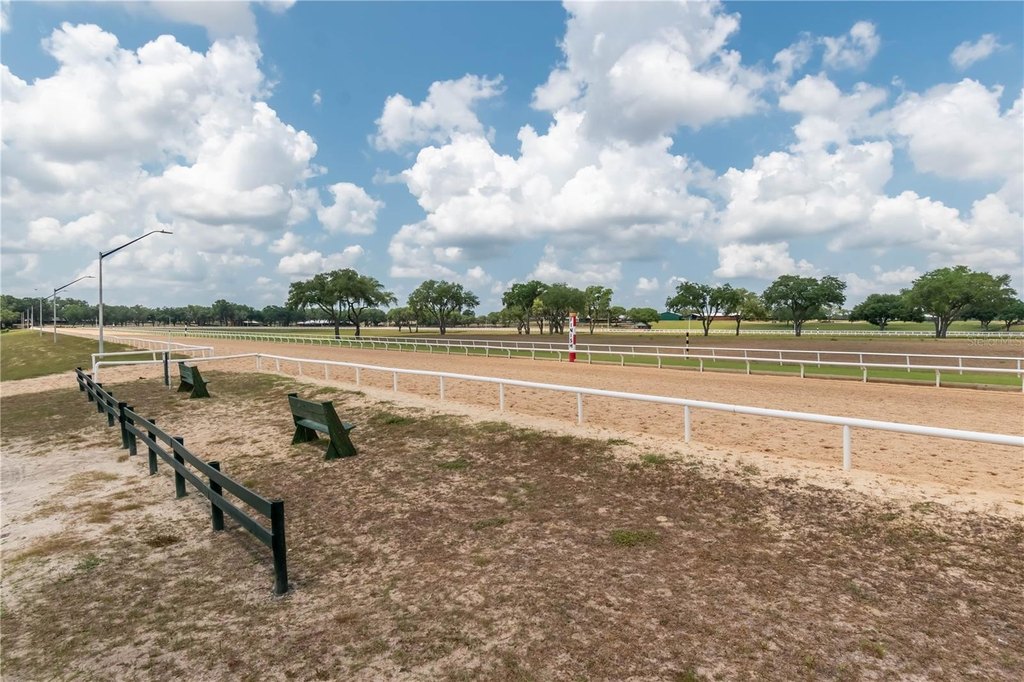 MORRISTON, Florida, 32668, United States, 1 Bedroom Bedrooms, ,1 BathroomBathrooms,Residential,Forsale,2003962