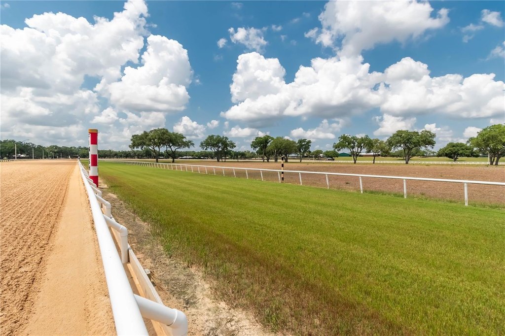 MORRISTON, Florida, 32668, United States, 1 Bedroom Bedrooms, ,1 BathroomBathrooms,Residential,Forsale,2003962